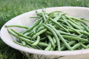 Peut-on congeler des haricots verts crus sans les blanchir ?